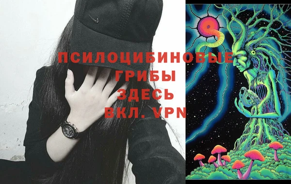 МДПВ Семёнов